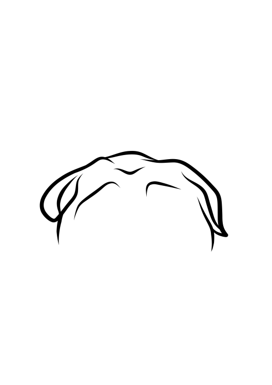 102-Shar Pei-04.png