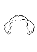 15-Bichon or Bichon frise-04.png