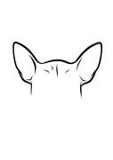 31-Chihuahua-04.png