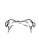 46-English Bulldog-04.png