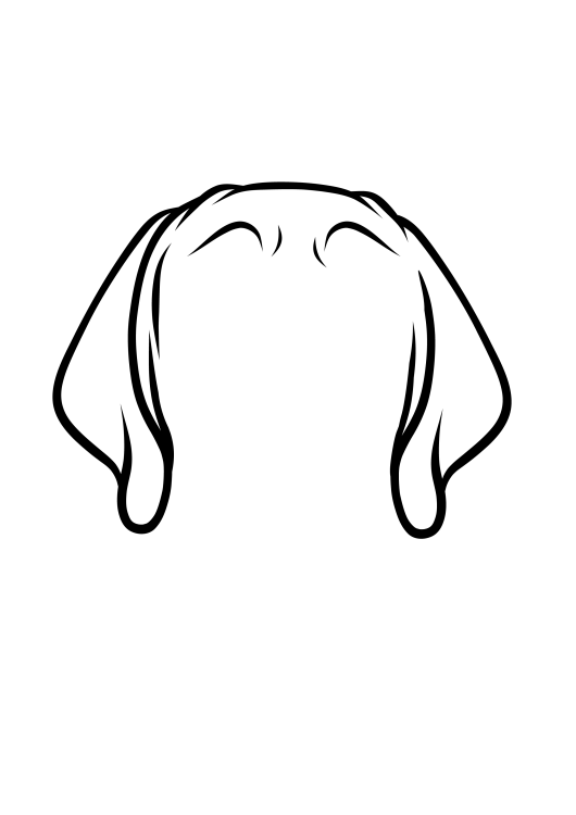 55-Great Dane-04.png
