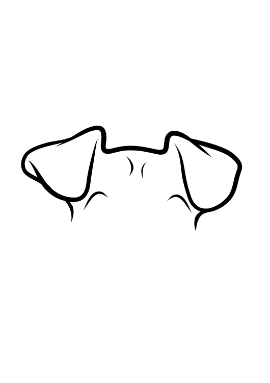 76-Miniature Pinscher-04.png