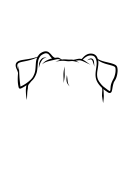 114-Staffordshire Bull Terrier-04.png