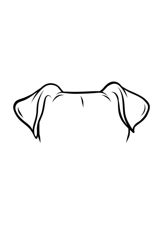 2-Airedale Terrier-04.png