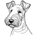 Grafika LINE airedale