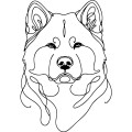 Grafika LINE akita
