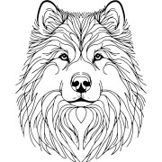 Grafika LINE alaskan