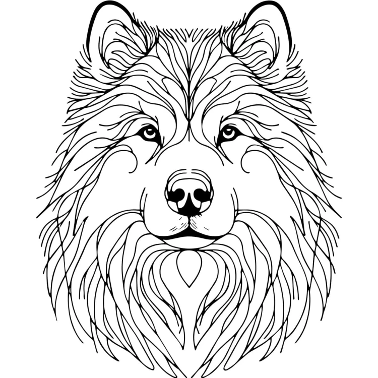 Grafika LINE alaskan