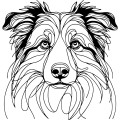 Grafika LINE owczarek australijski