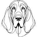 Grafika LINE bloodhound