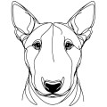 Grafika LINE bulterrier