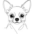 Grafika LINE chihuahua