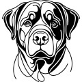 Grafika LINE rottweiler