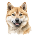 Grafika Akita Inu