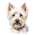 Grafika West Highland White Terrier