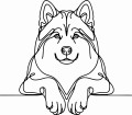 Pies w stylu line-art Alaskan Malamute