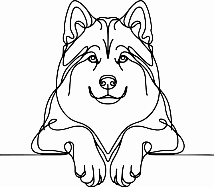 Pies w stylu line-art Alaskan Malamute