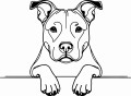 Pies w stylu line-art Amstaff