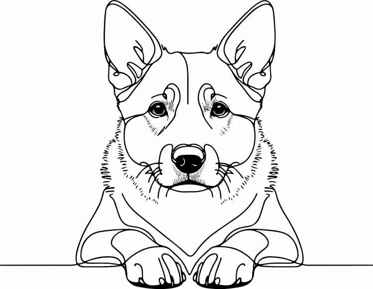 Pies w stylu line-art Australian Cattle Dog