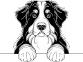 Pies w stylu line-art Bernese Mountain Dog