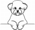 Pies w stylu line-art Bichon Frise