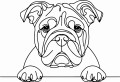 Pies w stylu line-art Bulldog