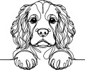 Pies w stylu line-art Cavalier