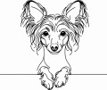 Pies w stylu line-art Chinese Crested