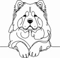 Pies w stylu line-art Chow Chow