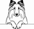 Pies w stylu line-art Collie