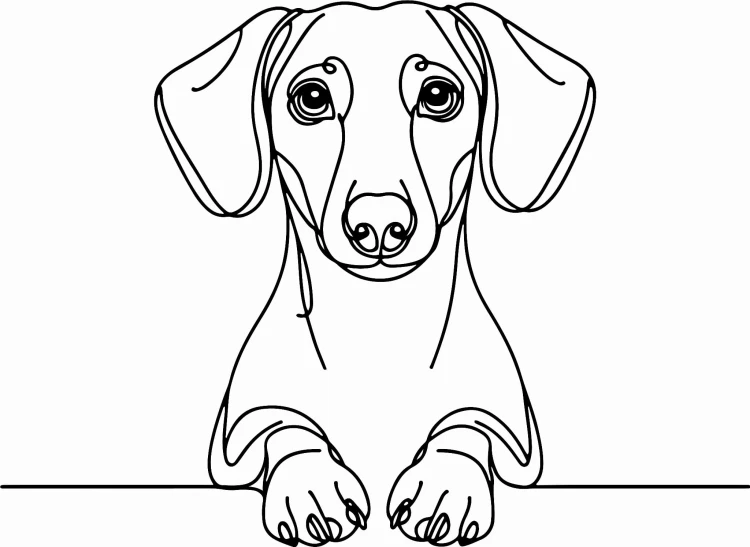 Pies w stylu line-art Dachshund