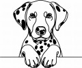 Pies w stylu line-art Dalmatian