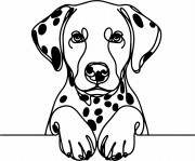 Pies w stylu line-art Dalmatian
