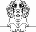 Pies w stylu line-art English Springer Spaniel