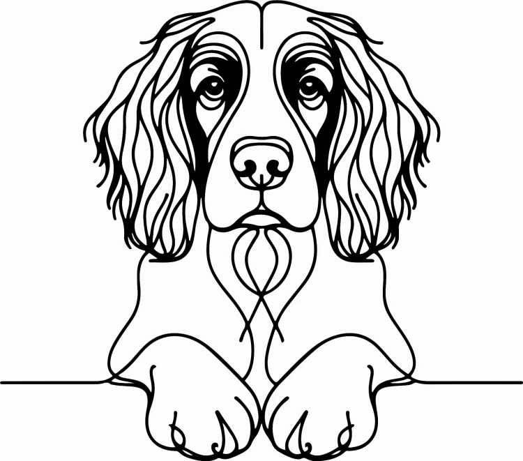 Pies w stylu line-art English Springer Spaniel