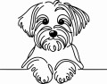 Pies w stylu line-art Havanese