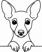 Pies w stylu line-art Miniature Pinscher