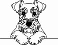 Pies w stylu line-art Miniature Schnauzer