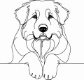 Pies w stylu line-art Owczarek podhalański