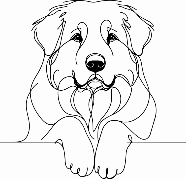 Pies w stylu line-art Owczarek podhalański