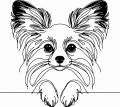 Pies w stylu line-art Papillon