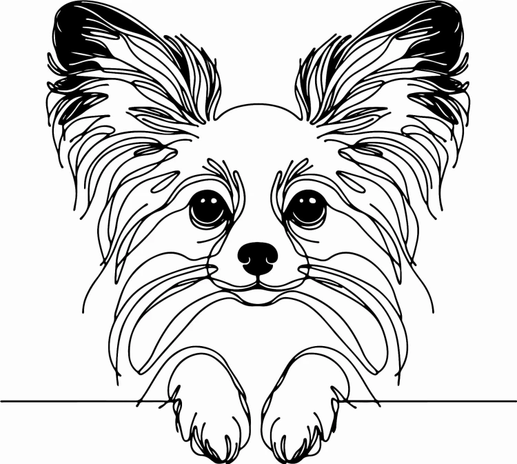 Pies w stylu line-art Papillon