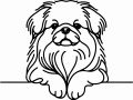 Pies w stylu line-art Pekingese