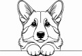 Pies w stylu line-art Pembroke Welsh Corgi