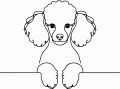 Pies w stylu line-art Poodle