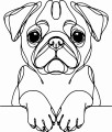Pies w stylu line-art Pug