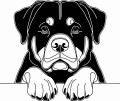Pies w stylu line-art Rottweiler