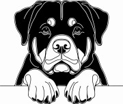 Pies w stylu line-art Rottweiler