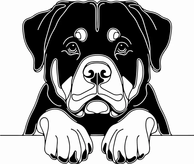 Pies w stylu line-art Rottweiler
