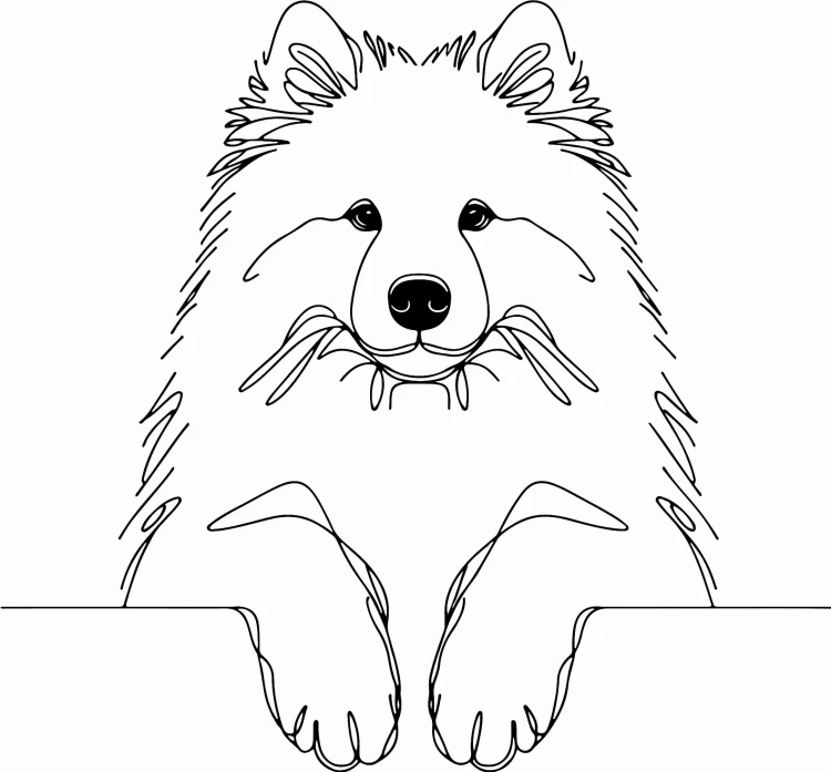 Pies w stylu line-art Samoyed